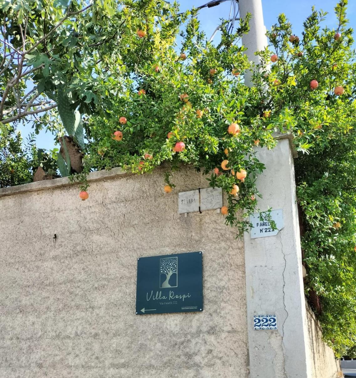 Villa Rospi Bari Exteriér fotografie